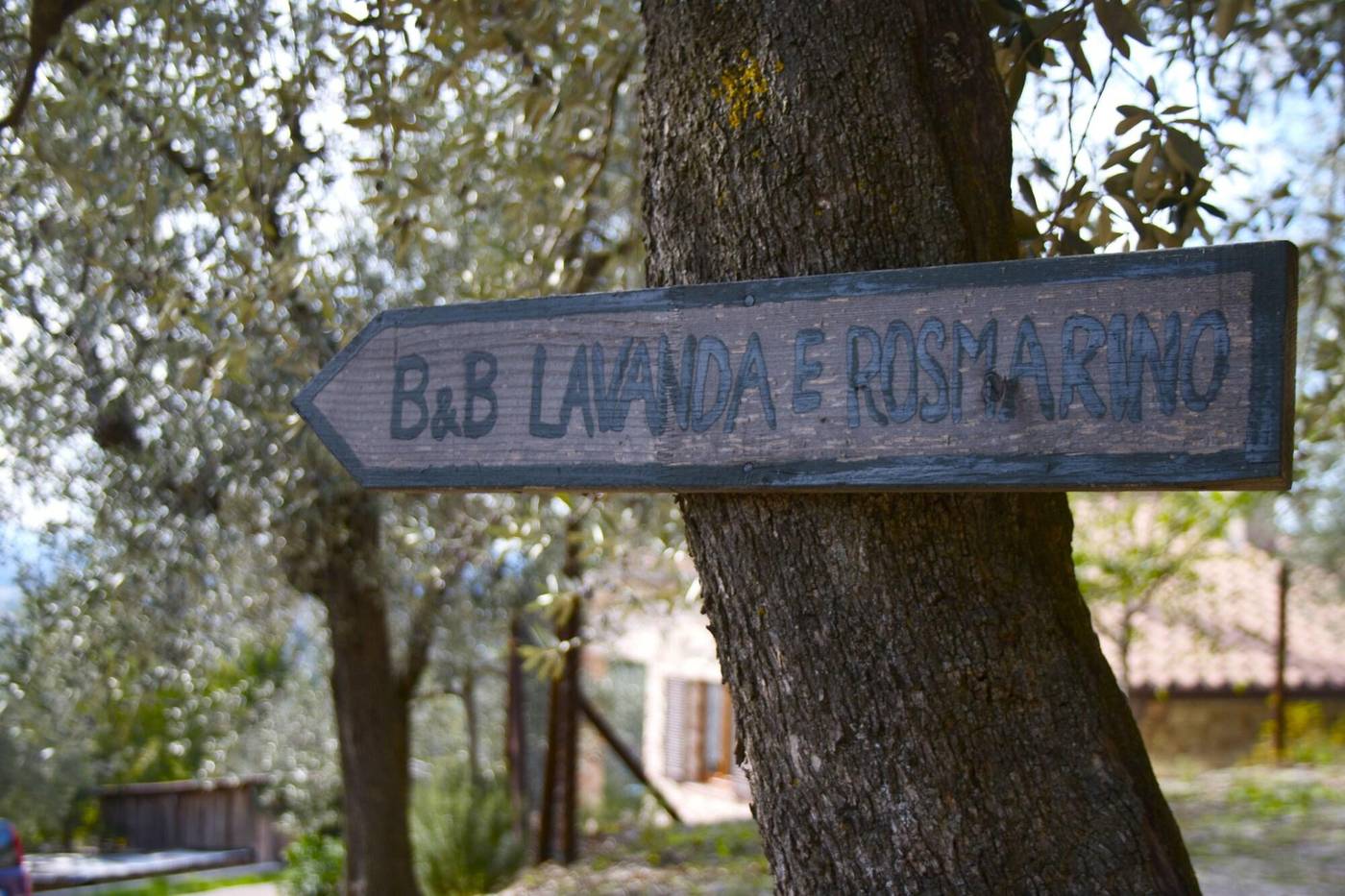 B&B Lavanda e Rosmarino-Italy-ASSISI-General view-7