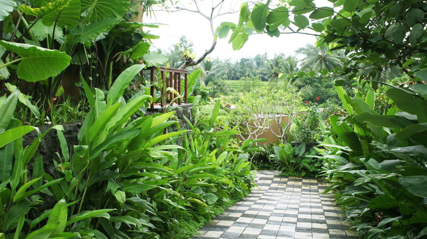 Ubud Green Resort Powered by Archipelago-Indonesia-BALI-General view-1