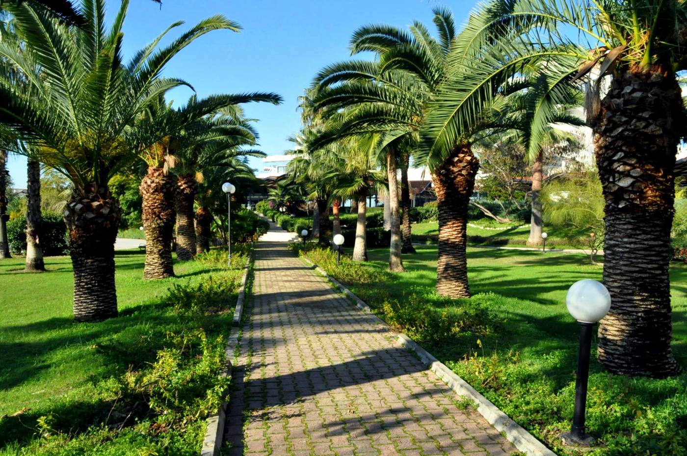 Starlight-Resort-Hotel-General-view-17