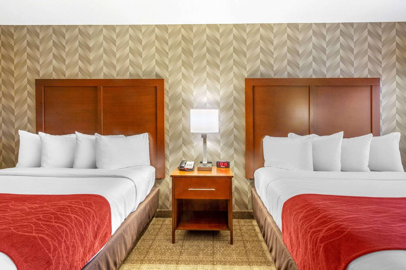 Comfort-Inn---Suites-Logan-Airport-Room-43