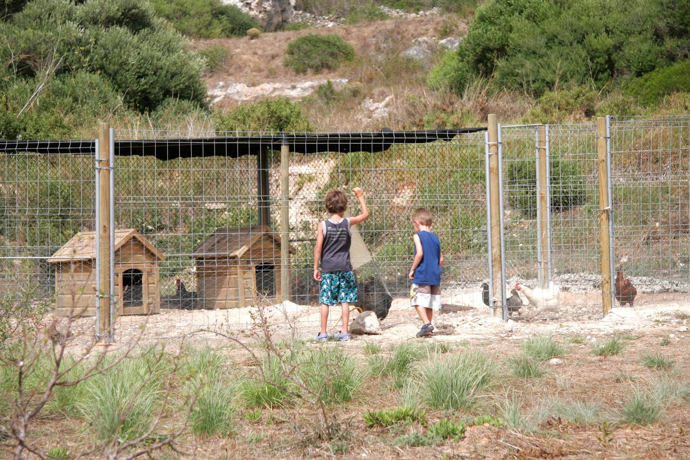 Royal-Son-Bou-Family-Club-Sports-and-Entertainment-78