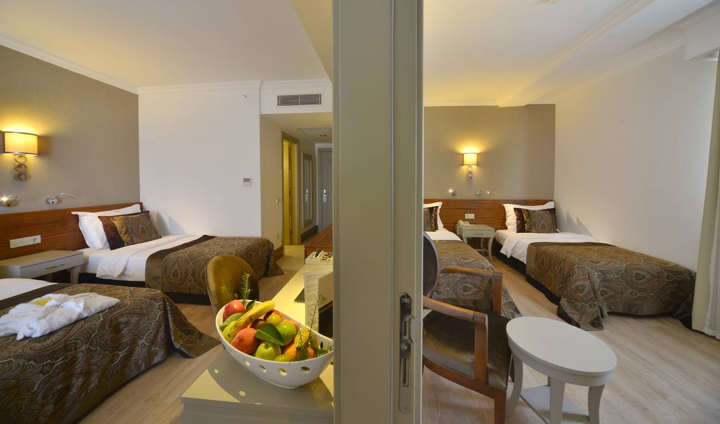 Well-Palace-Side-Room-33