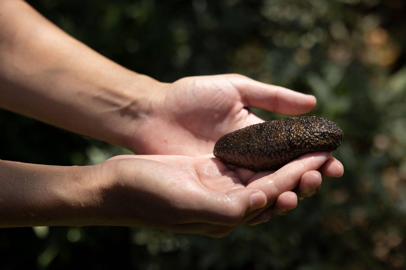 The Ritz-Carlton, Langkawi-Malaysia-Langkawi-General view-8