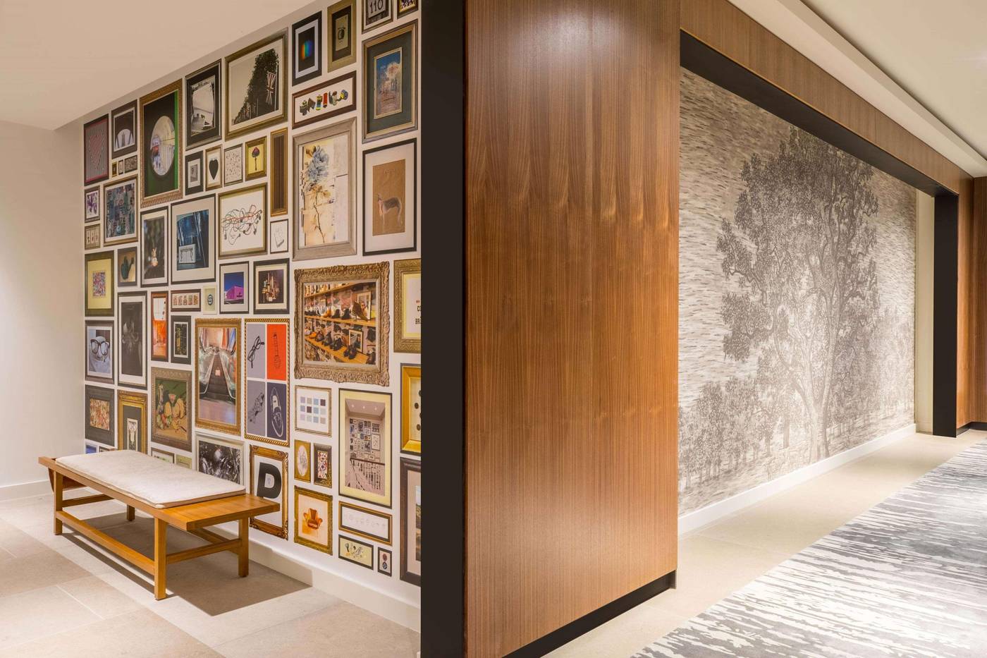 C. Baldwin, Curio Collection by Hilton-United States-HOUSTON-Lobby-5