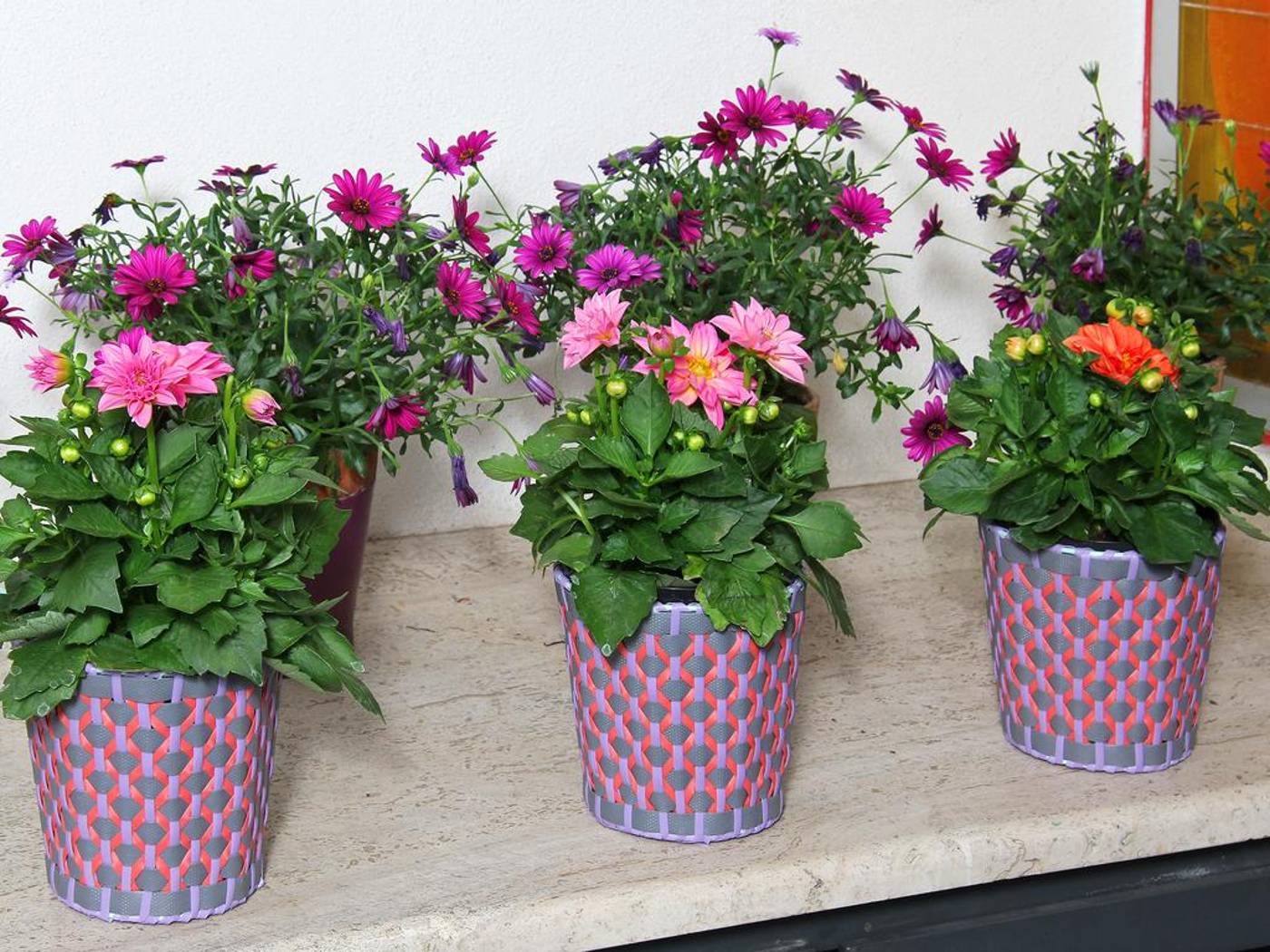 Hotel-Arcangelo-Lobby-9