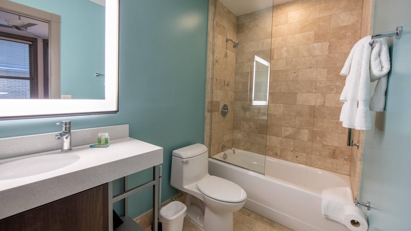 Holiday Inn Club Vacations New Orleans Resort - United States - NEW ORLEANS - Room - 4