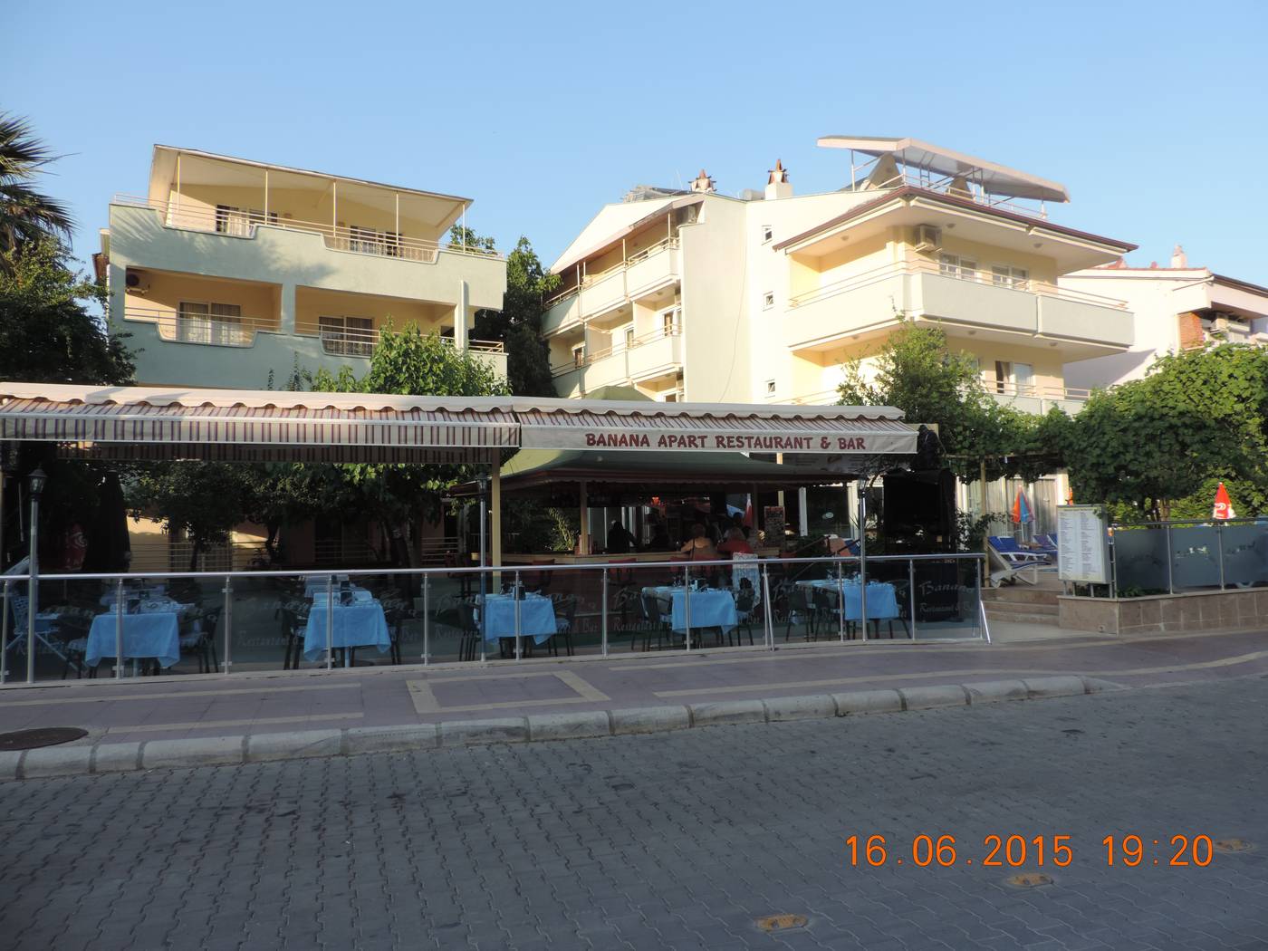 Banana-General-view-1