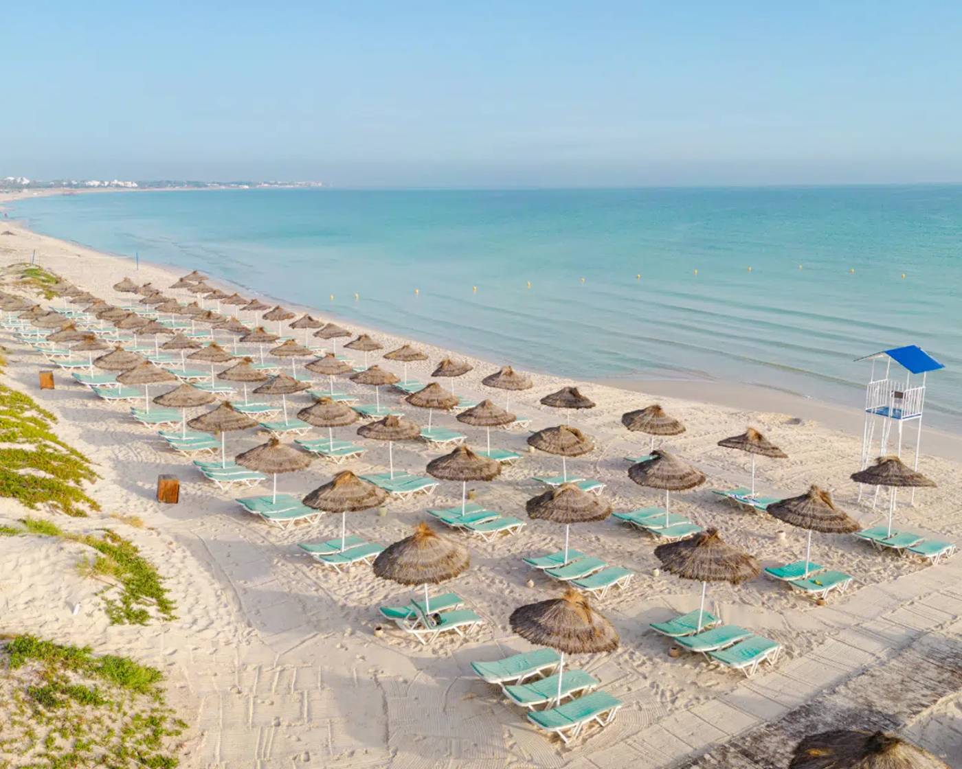 One Resort Jockey 20.08.25