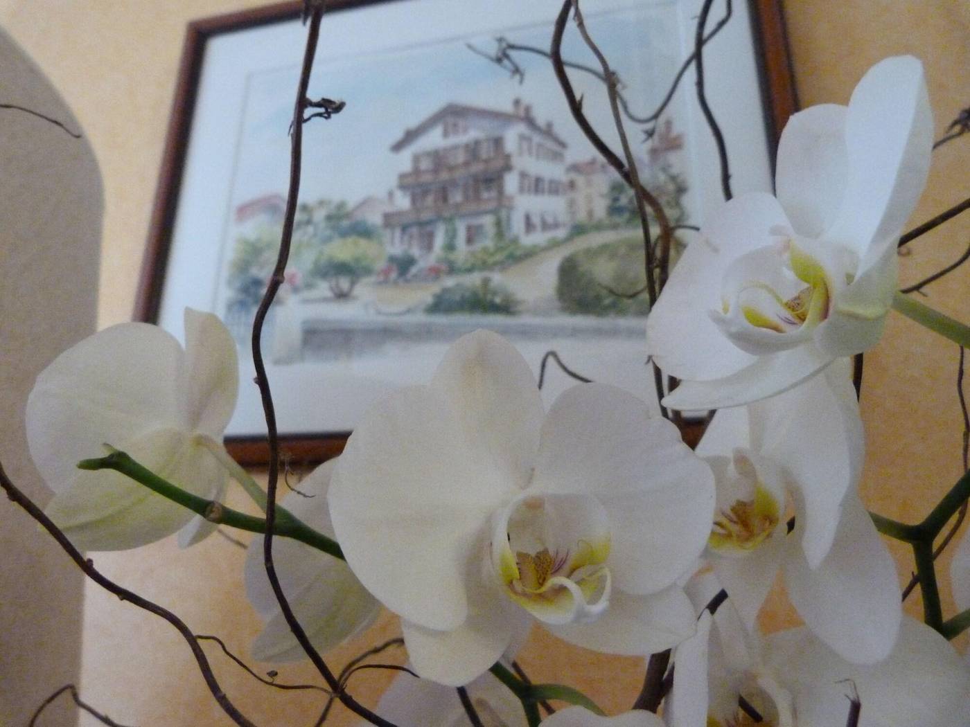 Hôtel Bel Air-France-SAINT-JEAN-DE-LUZ-Lobby-4