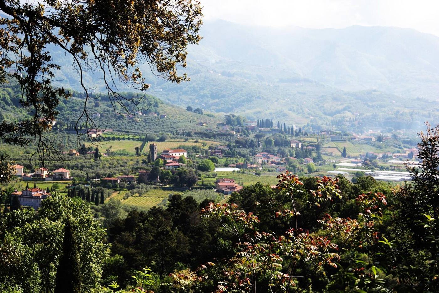Agriturismo Villa Pedone-Italy-Lucca-General view-8