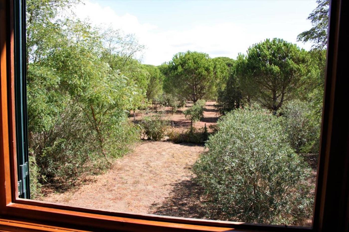 La-Canova-II-Room-32