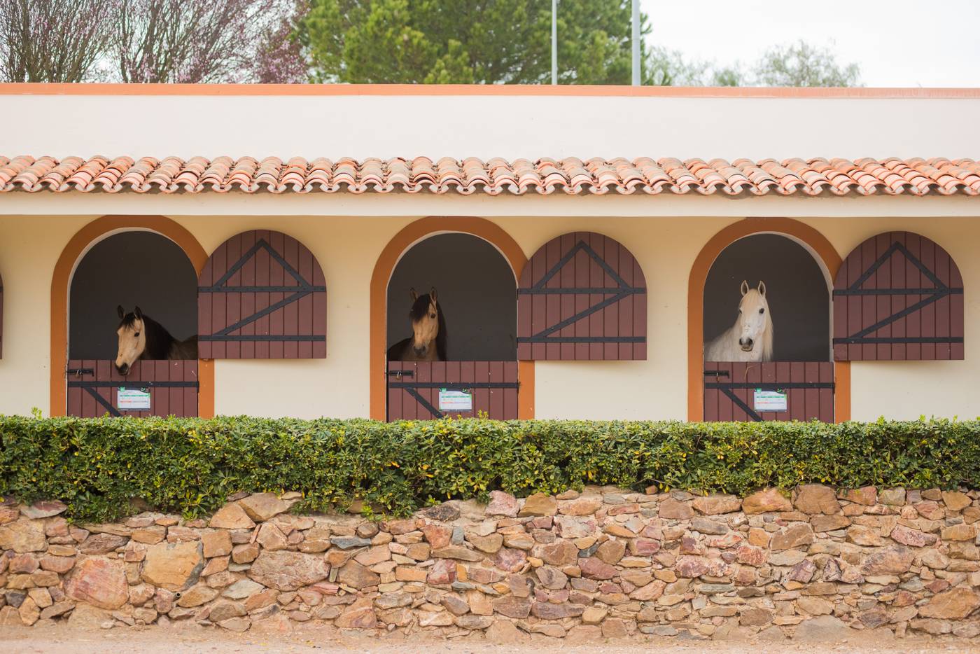 Vila-Gale-Alentejo-Vineyards--Clube-de-Campo--Sports-and-Entertainment-9