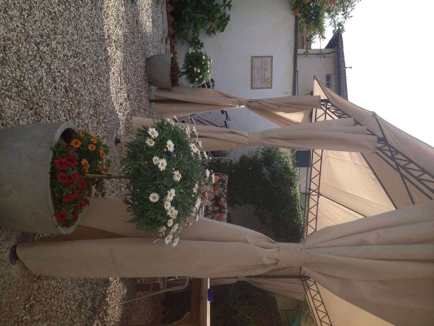B & B La Mimosa-Italy-Lucca-General view-10