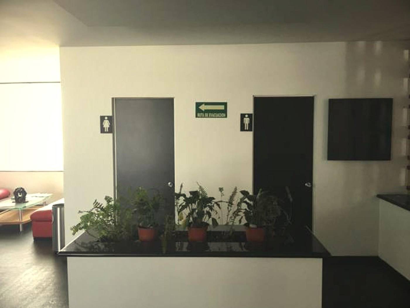 Hotel Atenas Plaza-Mexico-MEXICO CITY-Lobby-9