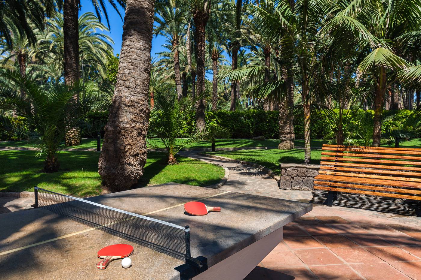 Seaside-Palm-Beach-Sports-and-Entertainment-26