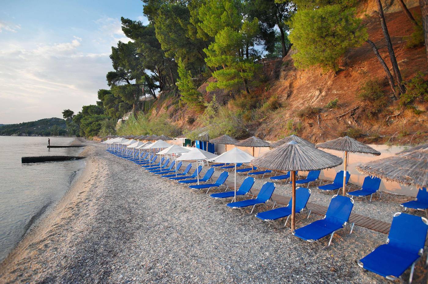 Athena-Pallas--Beach-94