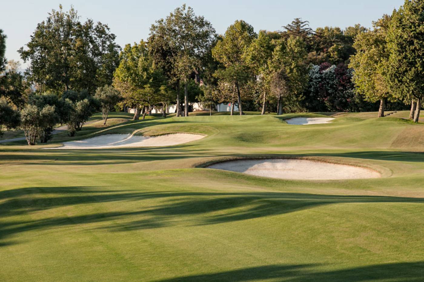 Hotel-Guadalmina-Spa---Golf-Resort-Sports-and-Entertainment-12