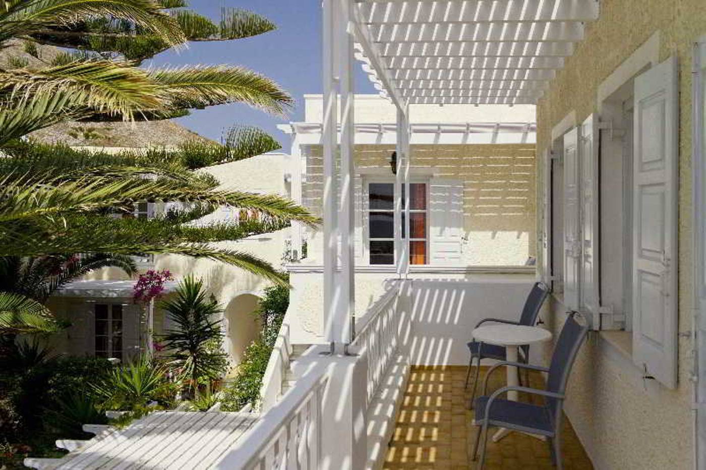 Dolphins-General-view-7