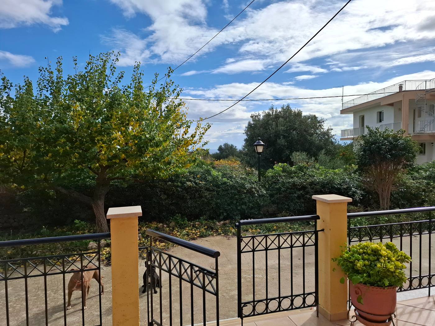 Hotel-Sunrise-Inn-Room-18