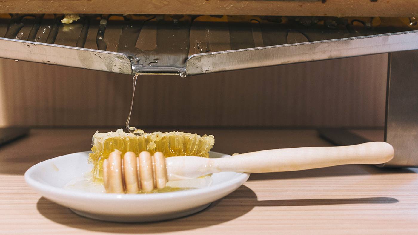 Hotel-Domus-Helena-Restaurant-25