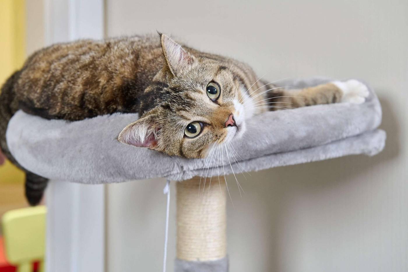 Si-Suites-Germany-Stuttgart-General view-6