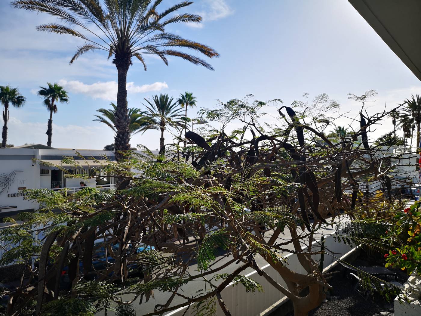 Apartamentos-Cocoteros-Room-9