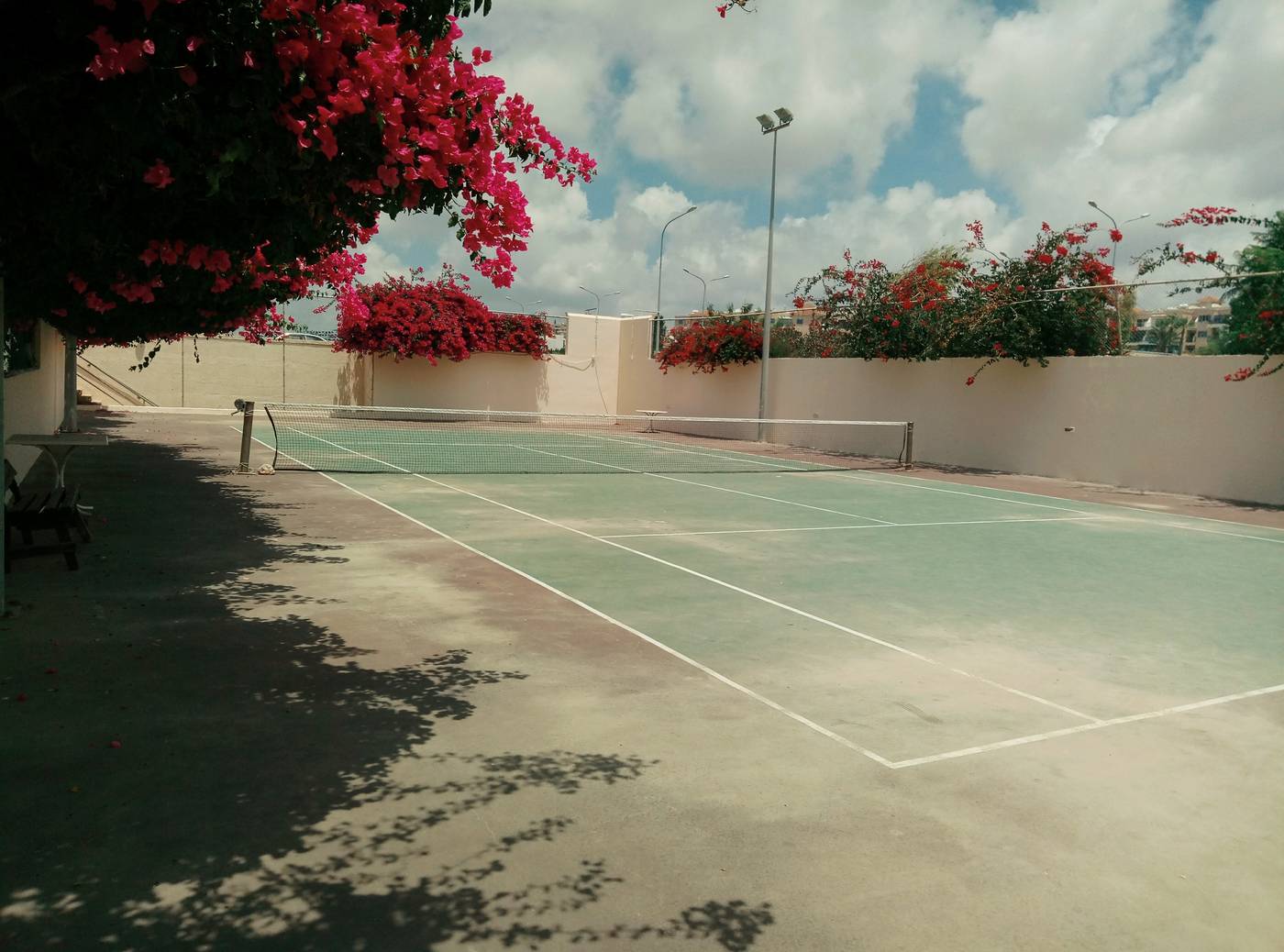 Venus-Beach-Sports-and-Entertainment-43