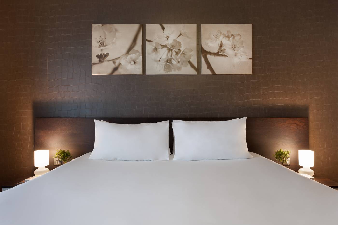 Hotel-Argento-Room-21