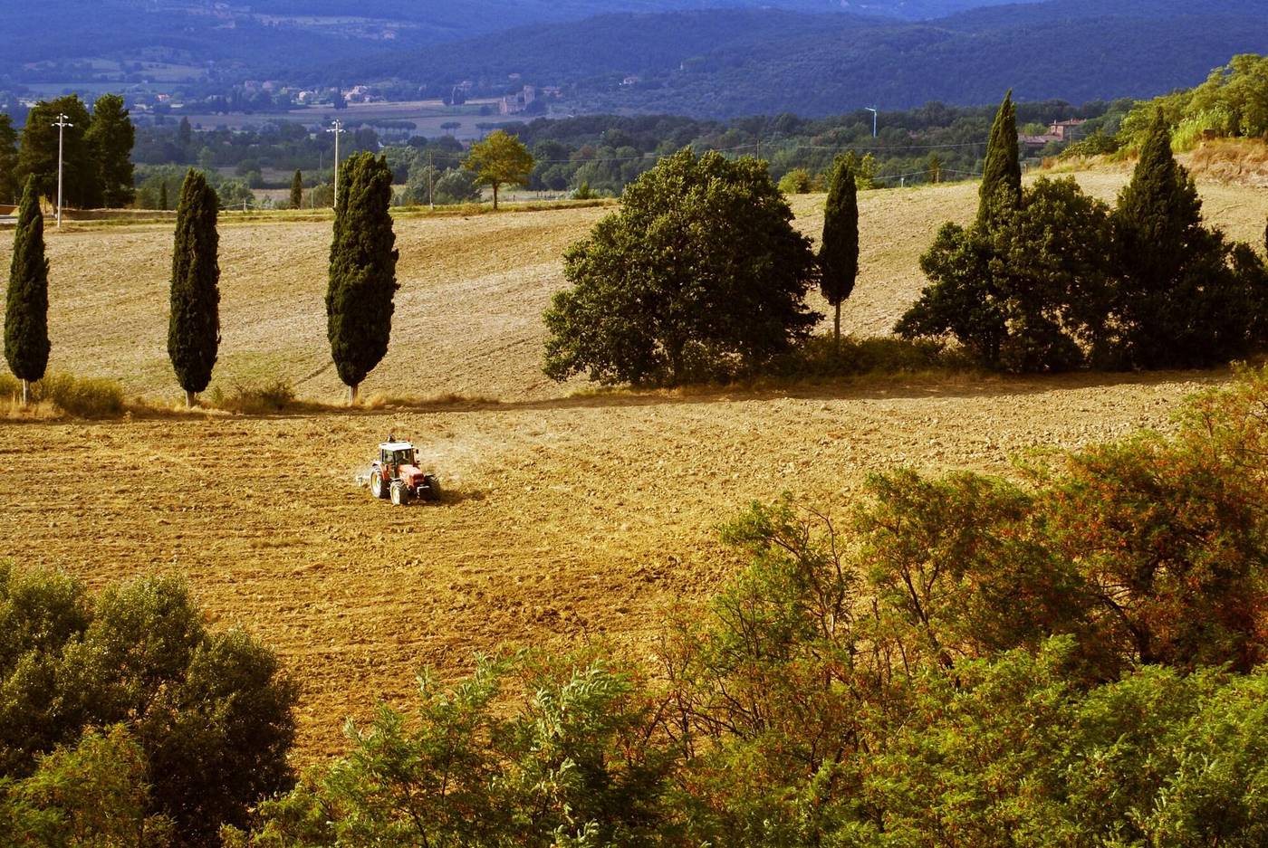Castello-General-view-63