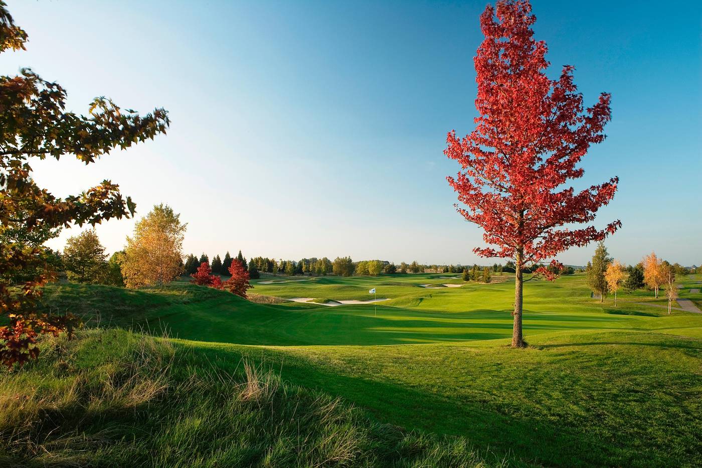 Radisson-Blu-Hotel-Paris--Marne-la-Vallee-Sports-and-Entertainment-71