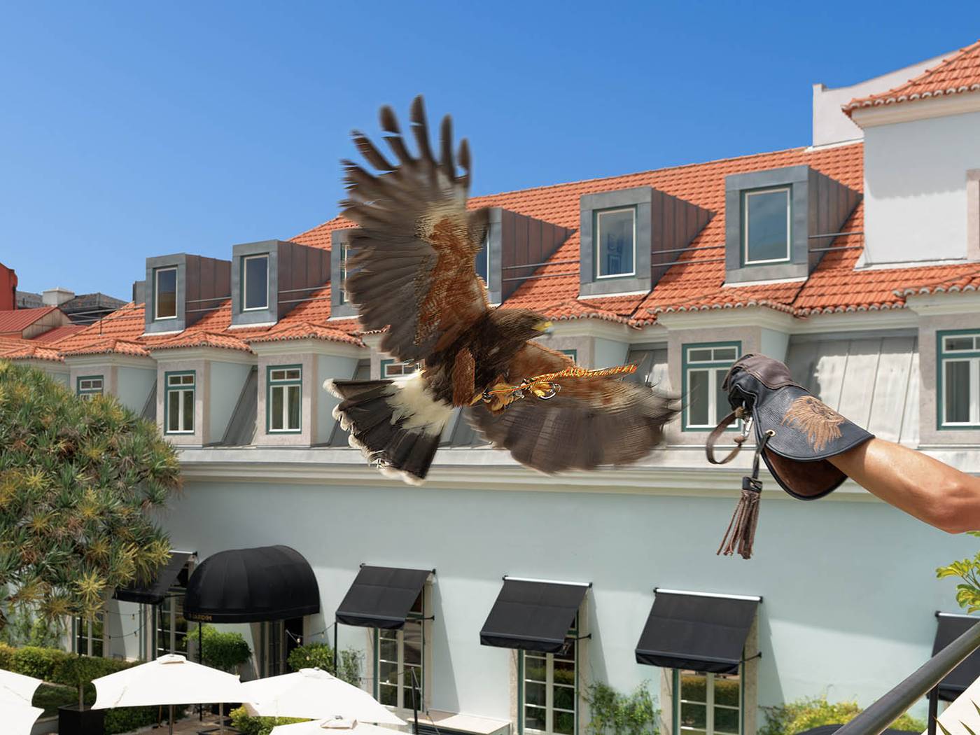 The-One-Palacio-Da-Anunciada-General-view-93