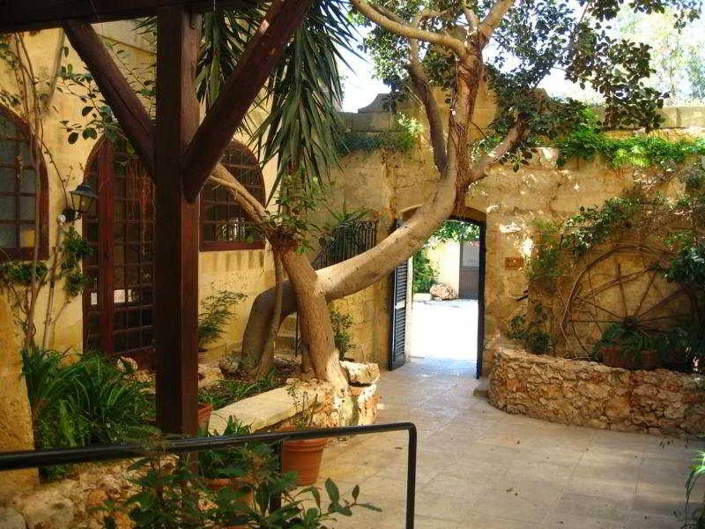 Cornucopia-General-view-12