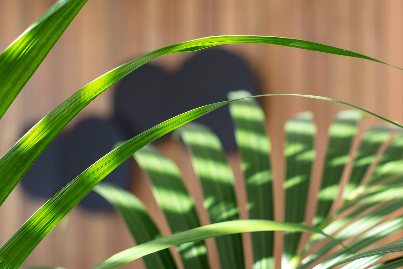 ME-Madrid-Reina-Victoria-Restaurant-72