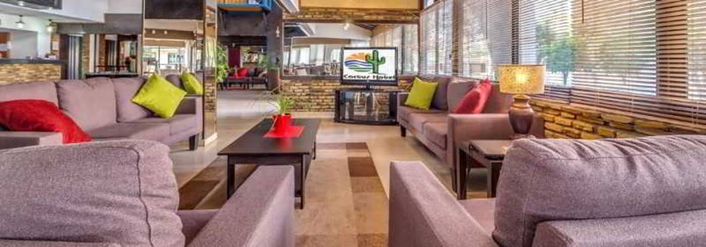 Cactus-Lobby-31