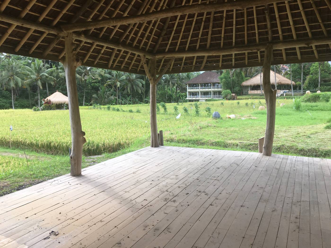 MATHIS Retreat Ubud-Indonesia-Bali-General view-2
