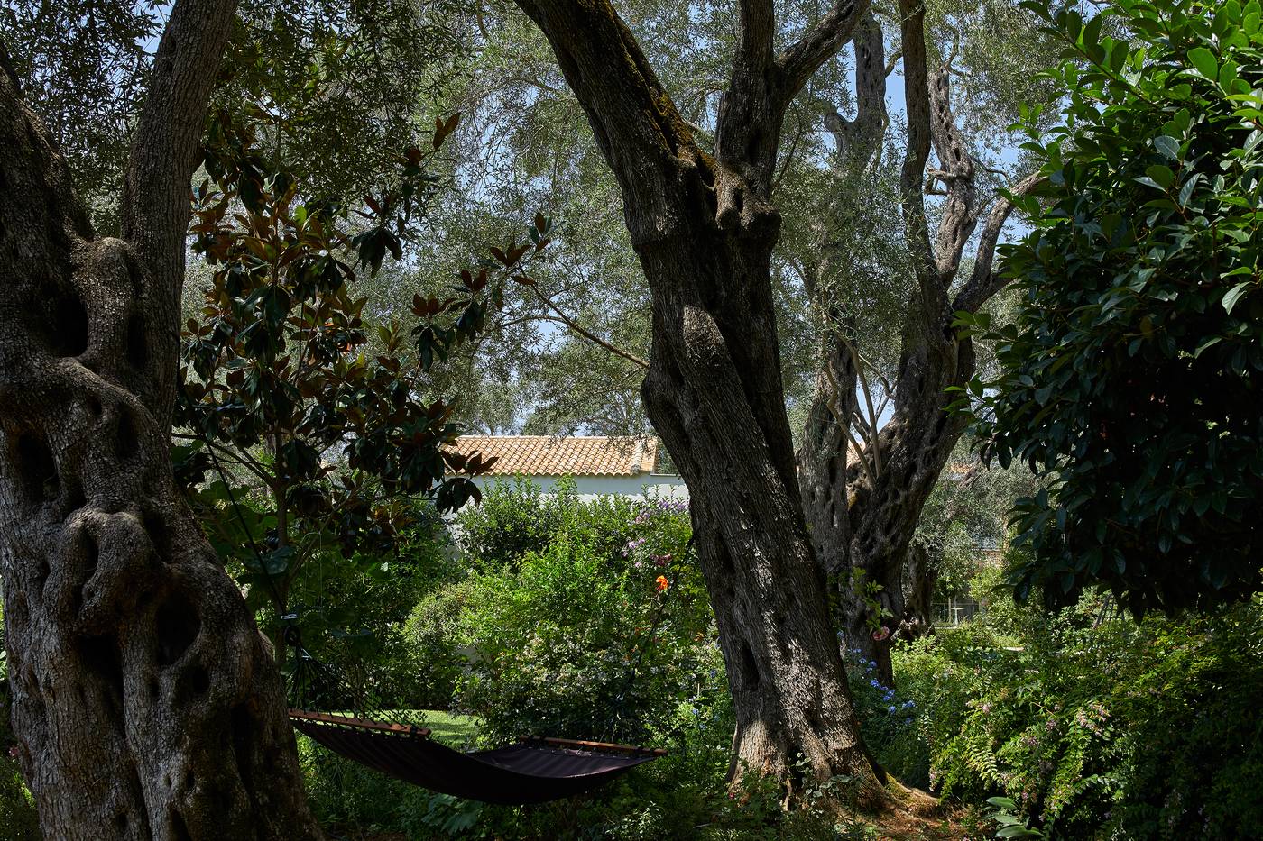 Parga-Beach-Terrace-23