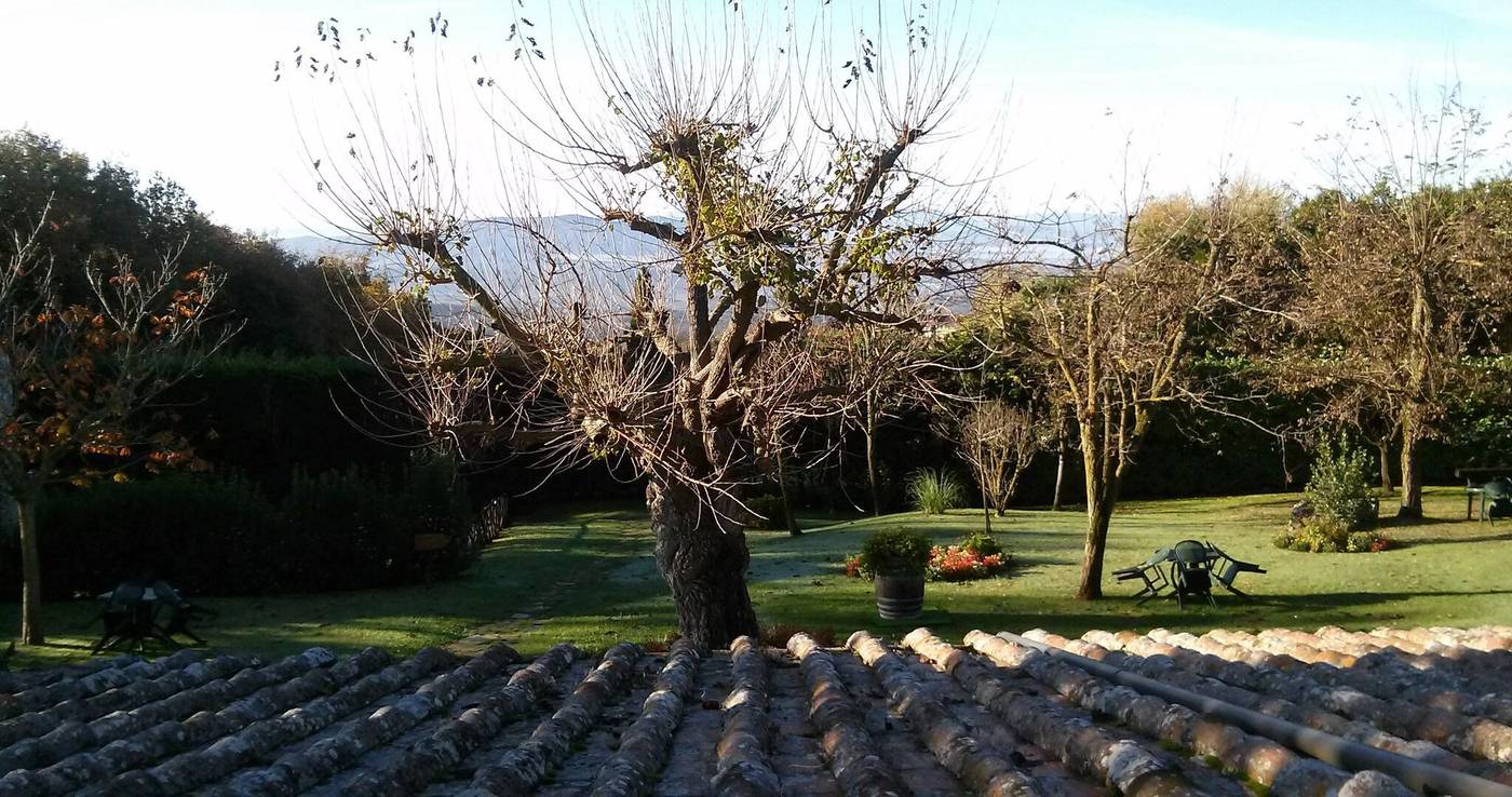 Colle-Etrusco-Salivolpi-General-view-39