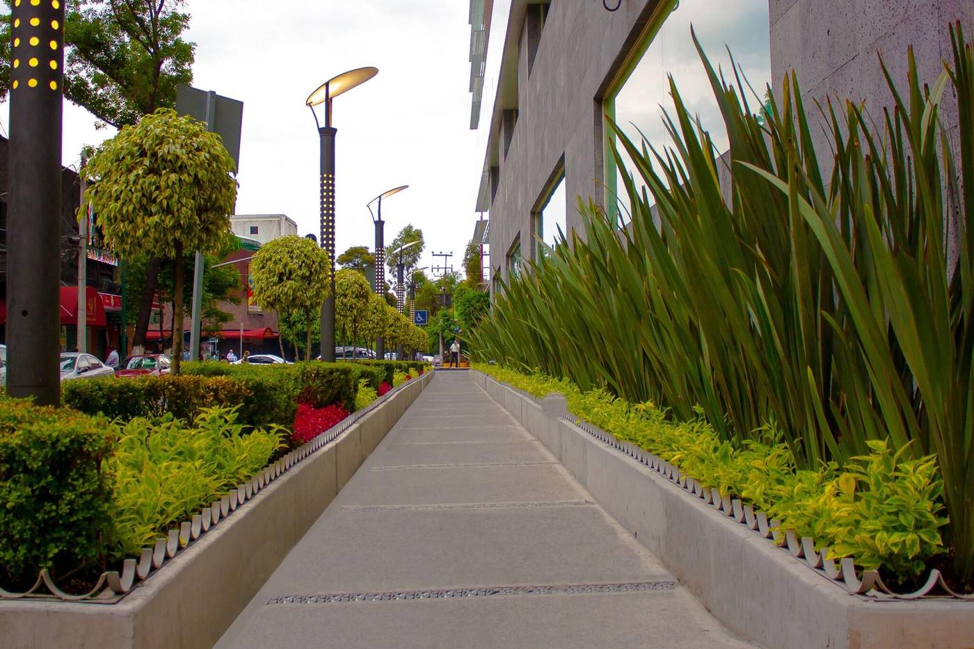 Novit-Mexico-Mexico City -General view-3