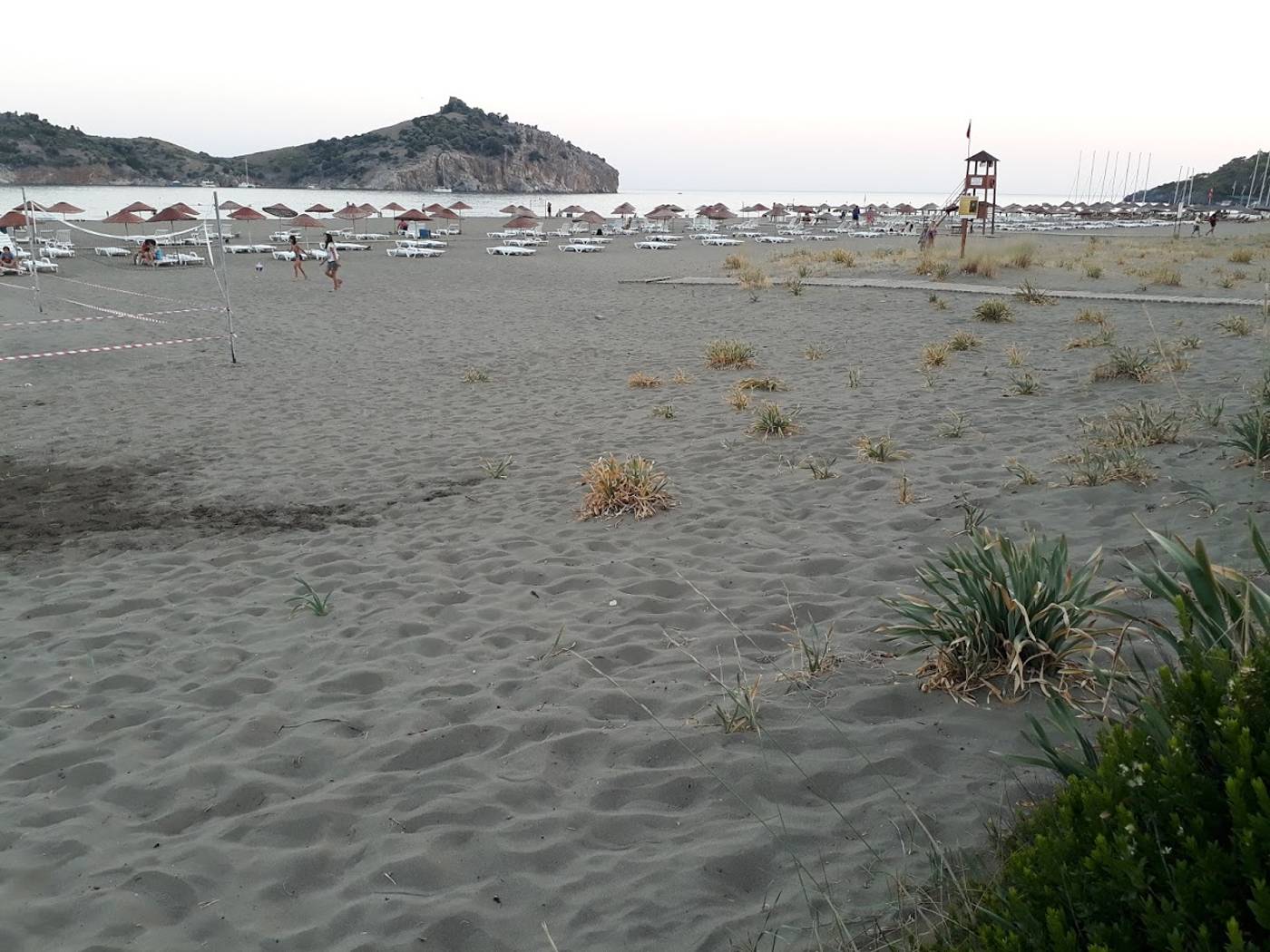 Dolphin-Apart-Beach-57