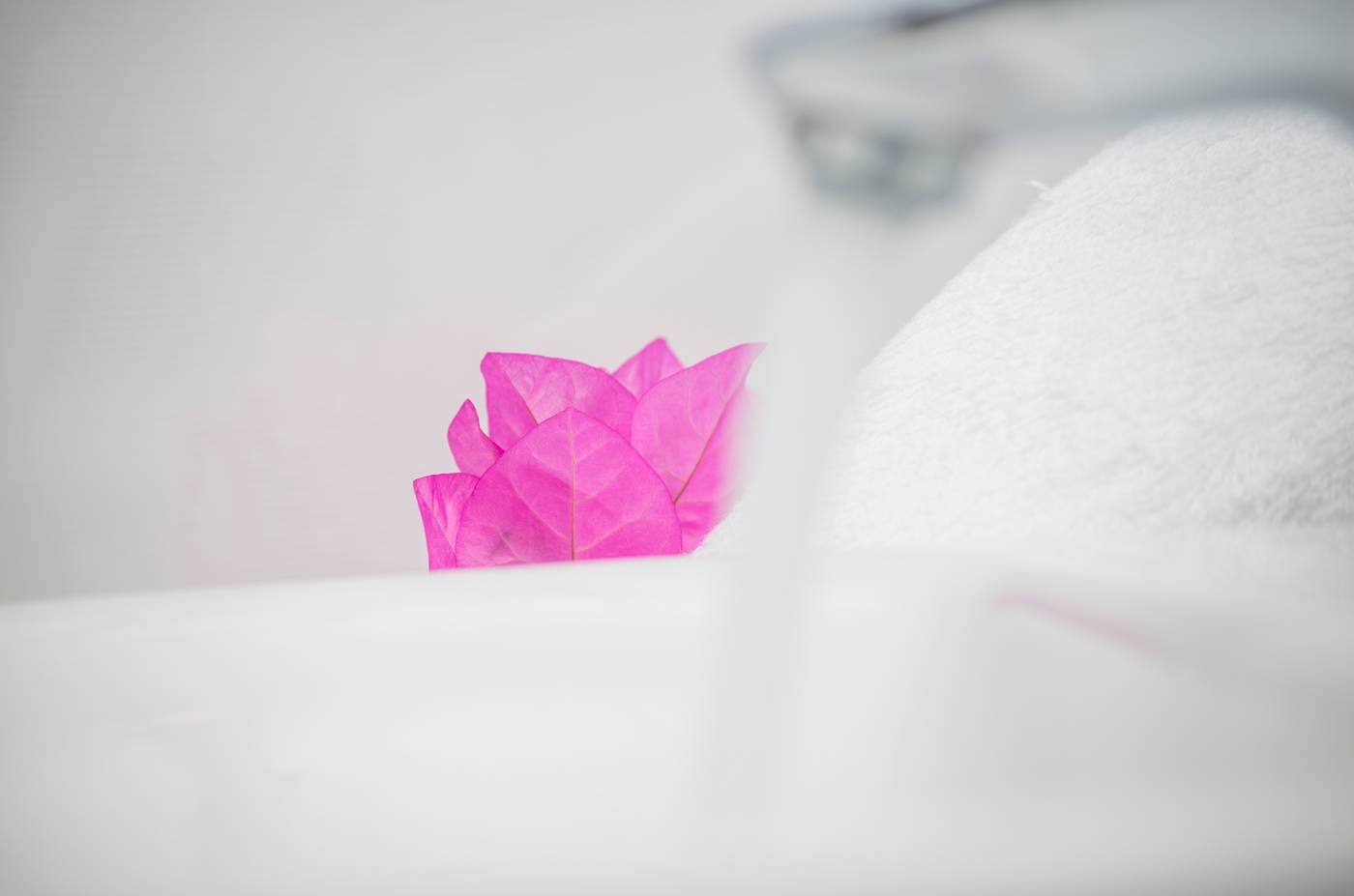 Paradise-Resort-Room-47