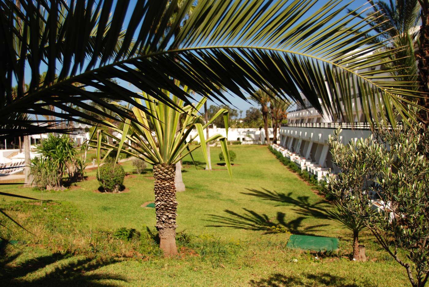 Allegro-Agadir-Terrace-16