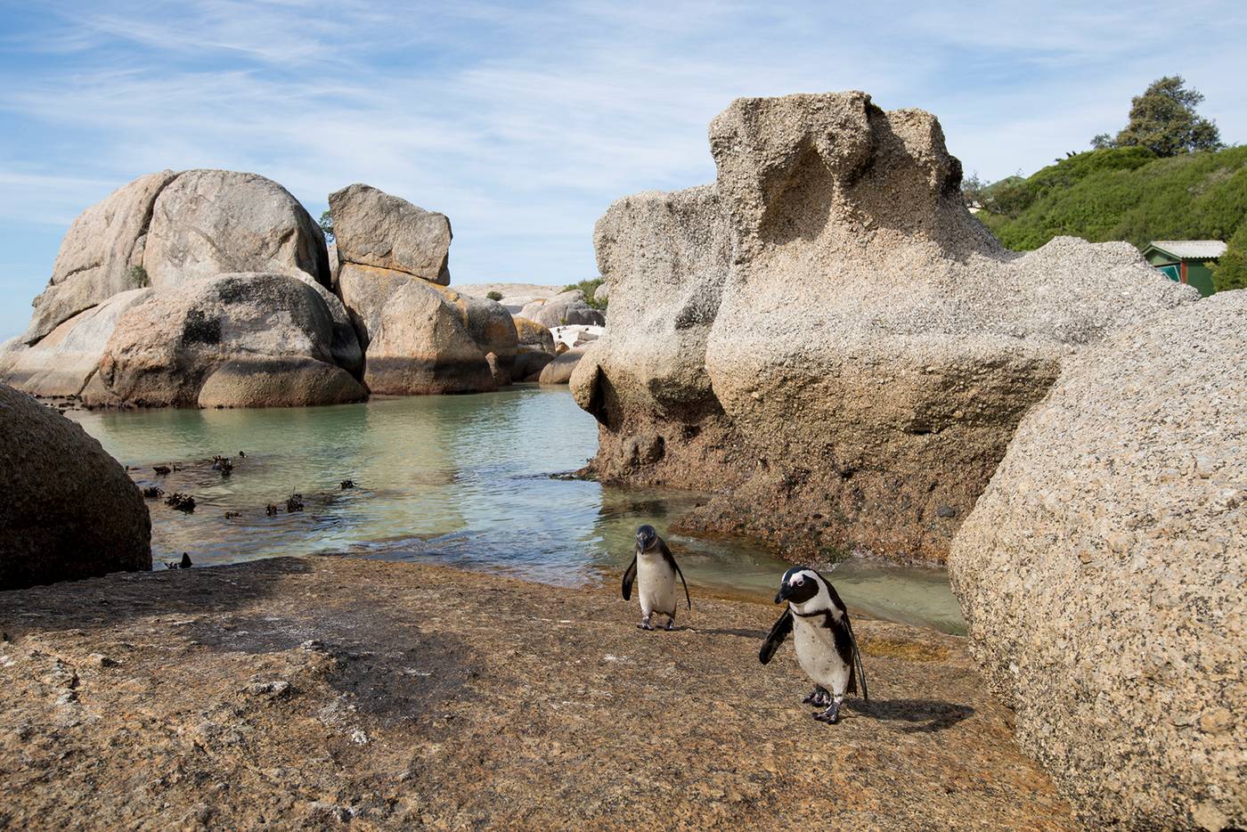 Cape-Cadogan-Sports-and-Entertainment-31