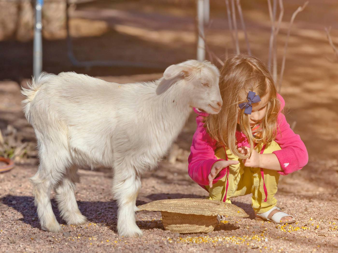 Barcelo-Palmeraie-Sports-and-Entertainment-73