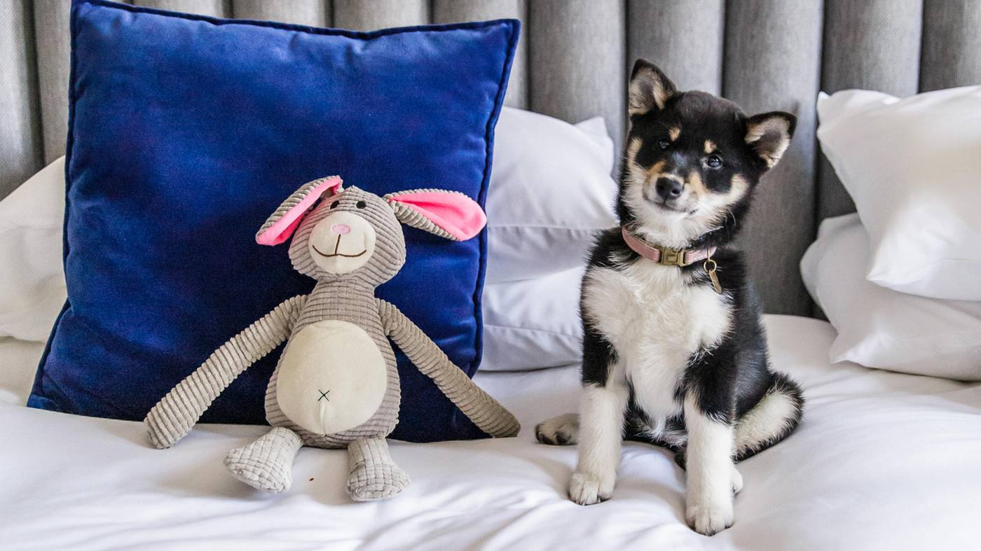 Kimpton-De-Witt-Amsterdam-Lobby-12