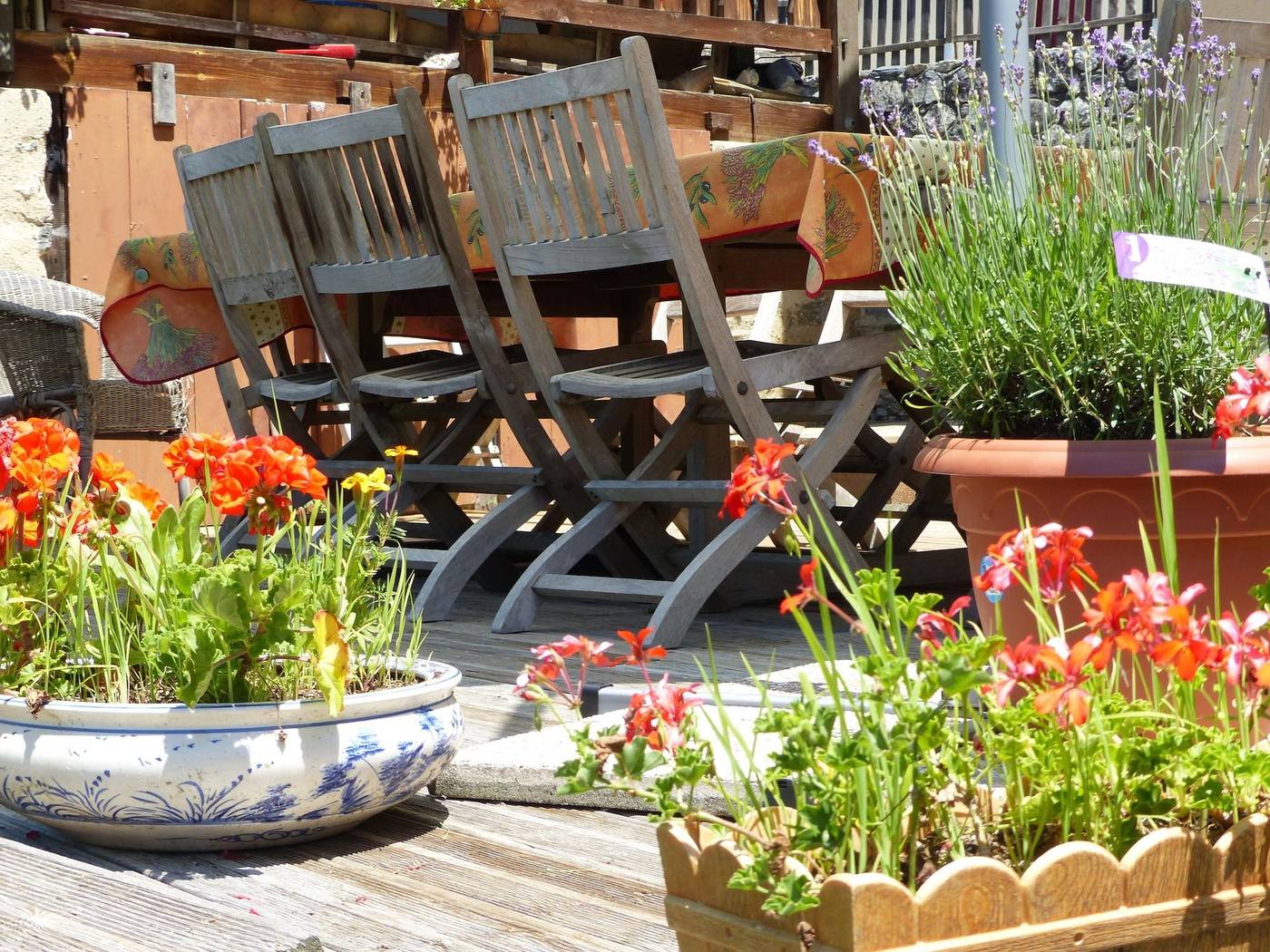 Chambres d'hôtes Las Vignes-France-BEAUCENS-General view-3