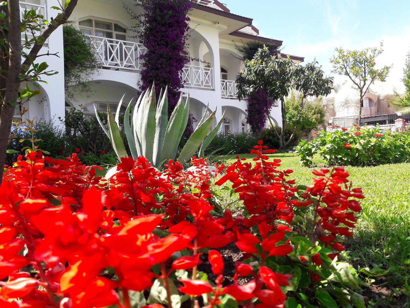 Lykia-Botanika-Beach---Fun-Club-General-view-16