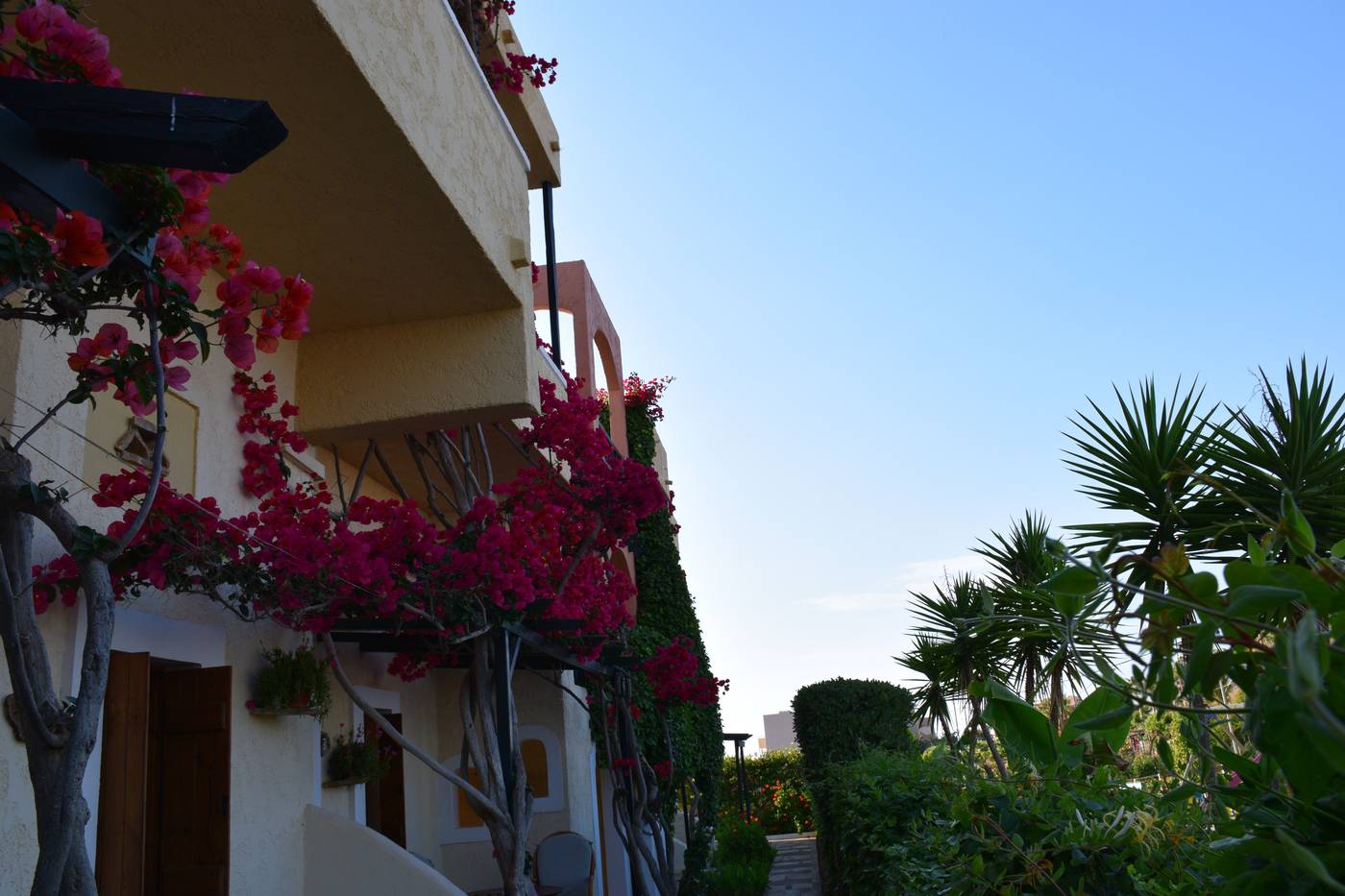 Malia-Studios-Apartments-Terrace-5