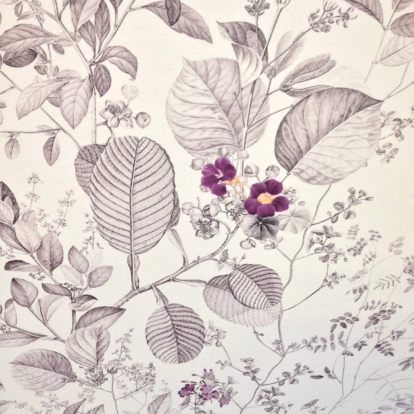 Mistral-Hotel-Room-31