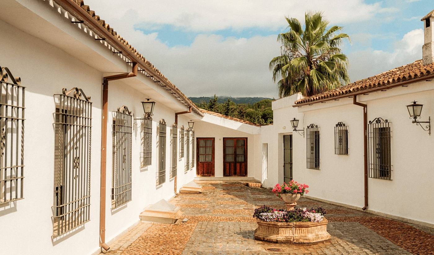 10.12.25 DWO Finca Los Abetos