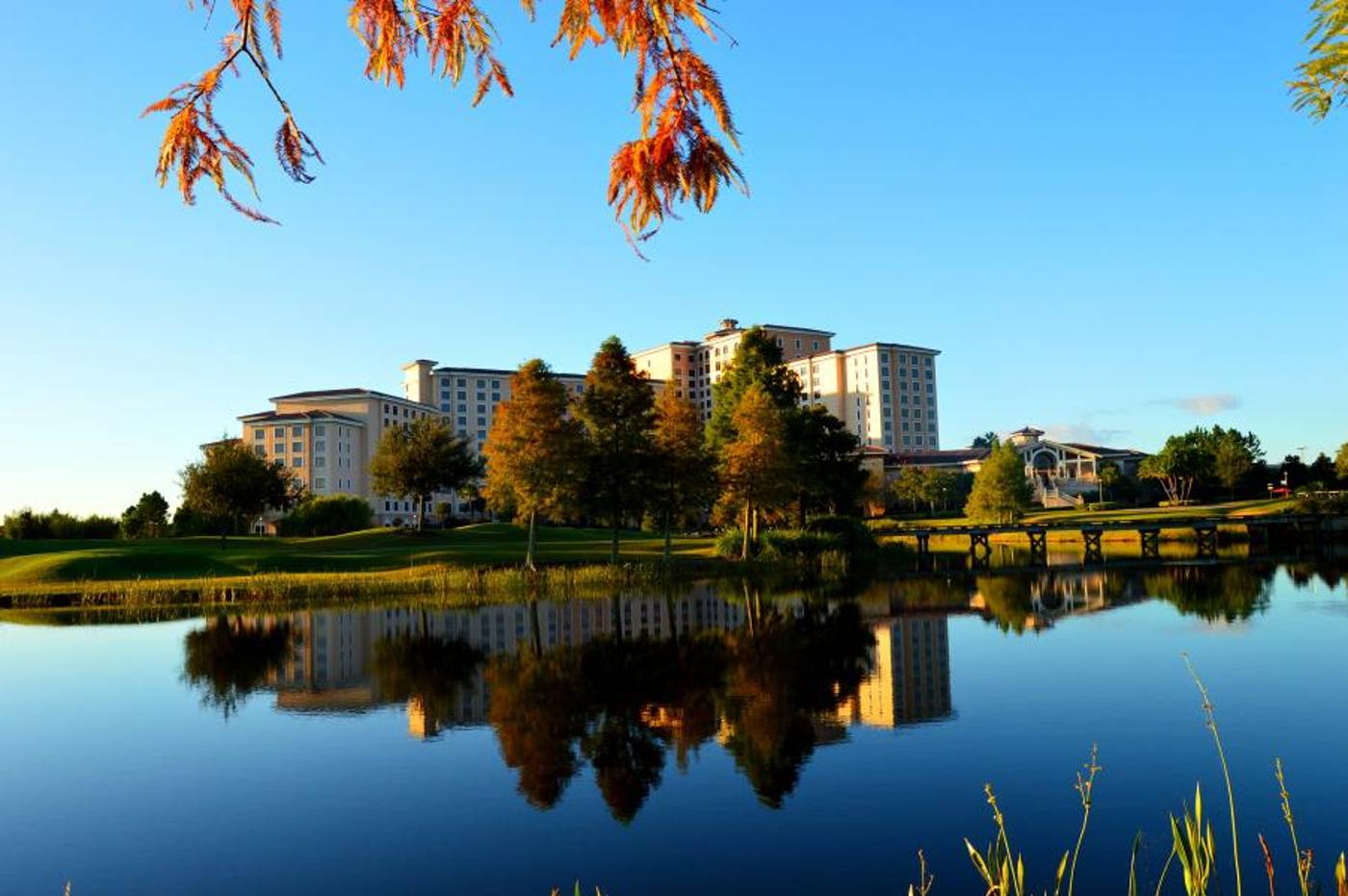 Rosen Shingle Creek in Florida, USA